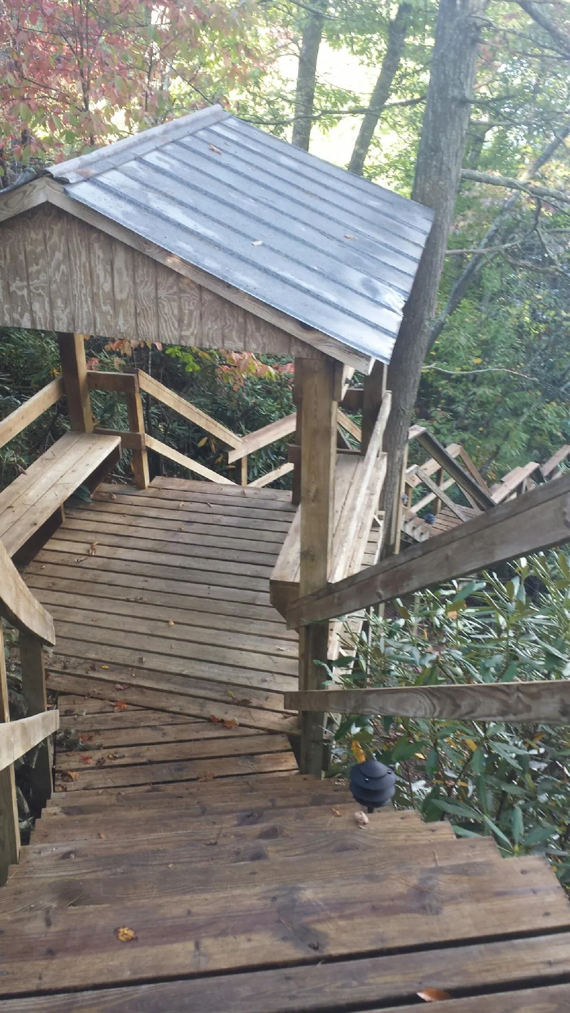Metal roofed shelter over wooden steps on a wooded walkway — Skylight Repair & Installation work by our crew in Rogue River
