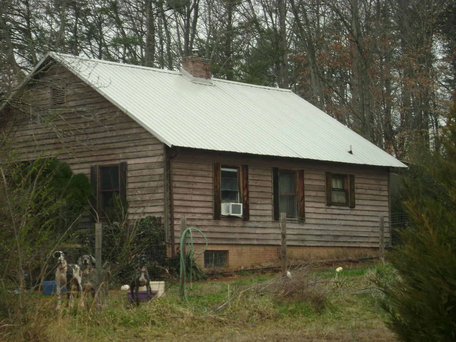 White metal roof on an old wood sided farmhouse, from a Metal Roof Installation job in Rogue River